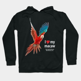 CB Greenwing Macaw Hoodie